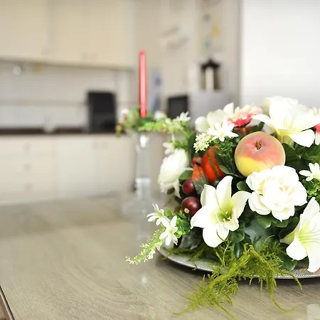 Deluxe 9 La Laguna (Tenerife)